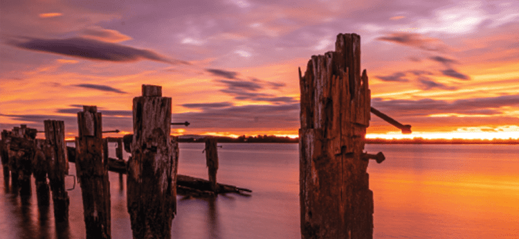 Investment Market Review Autumn 2025