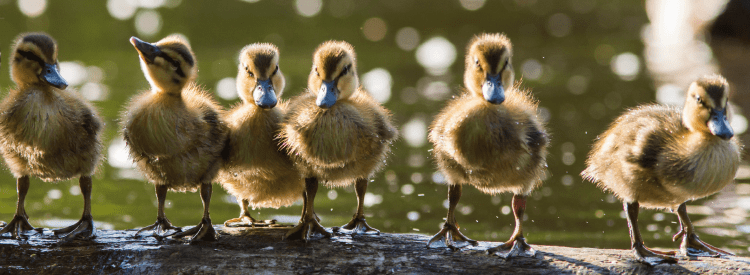 Investment Market Review Spring 2024