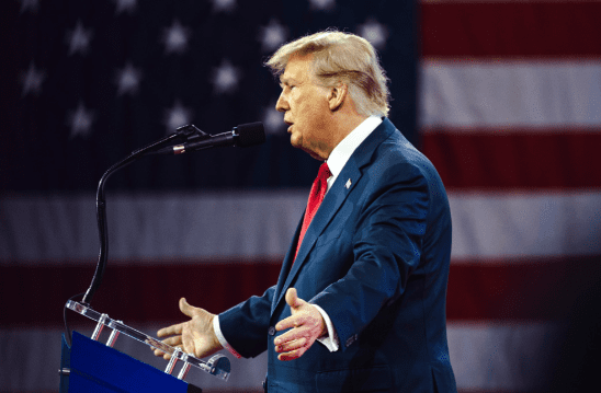 Investment Market Review Summer 2024-2025