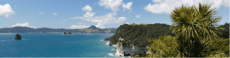 Investment Market Review Summer 2024-2025