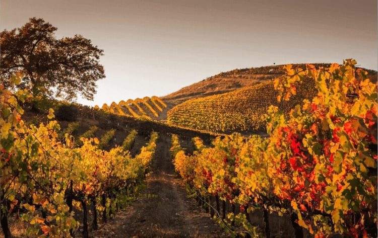 Investment Markets Autumn 2023 Update