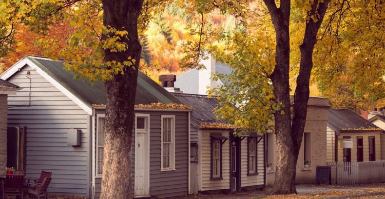 Investment Markets Autumn 2024 Update