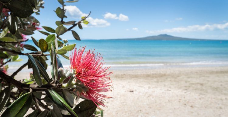 Investment Markets Summer 2023-24 Update