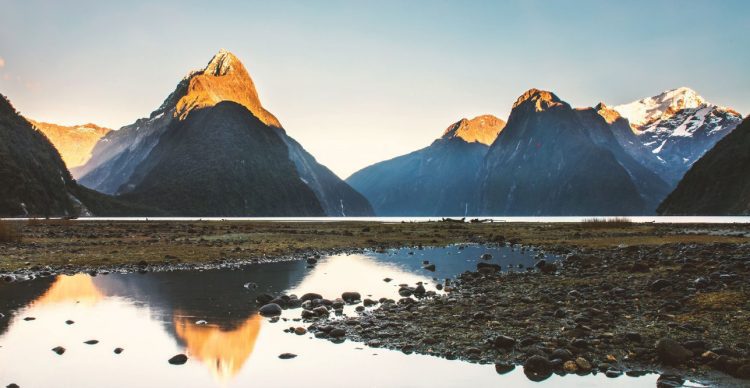 Investment Markets Winter Update